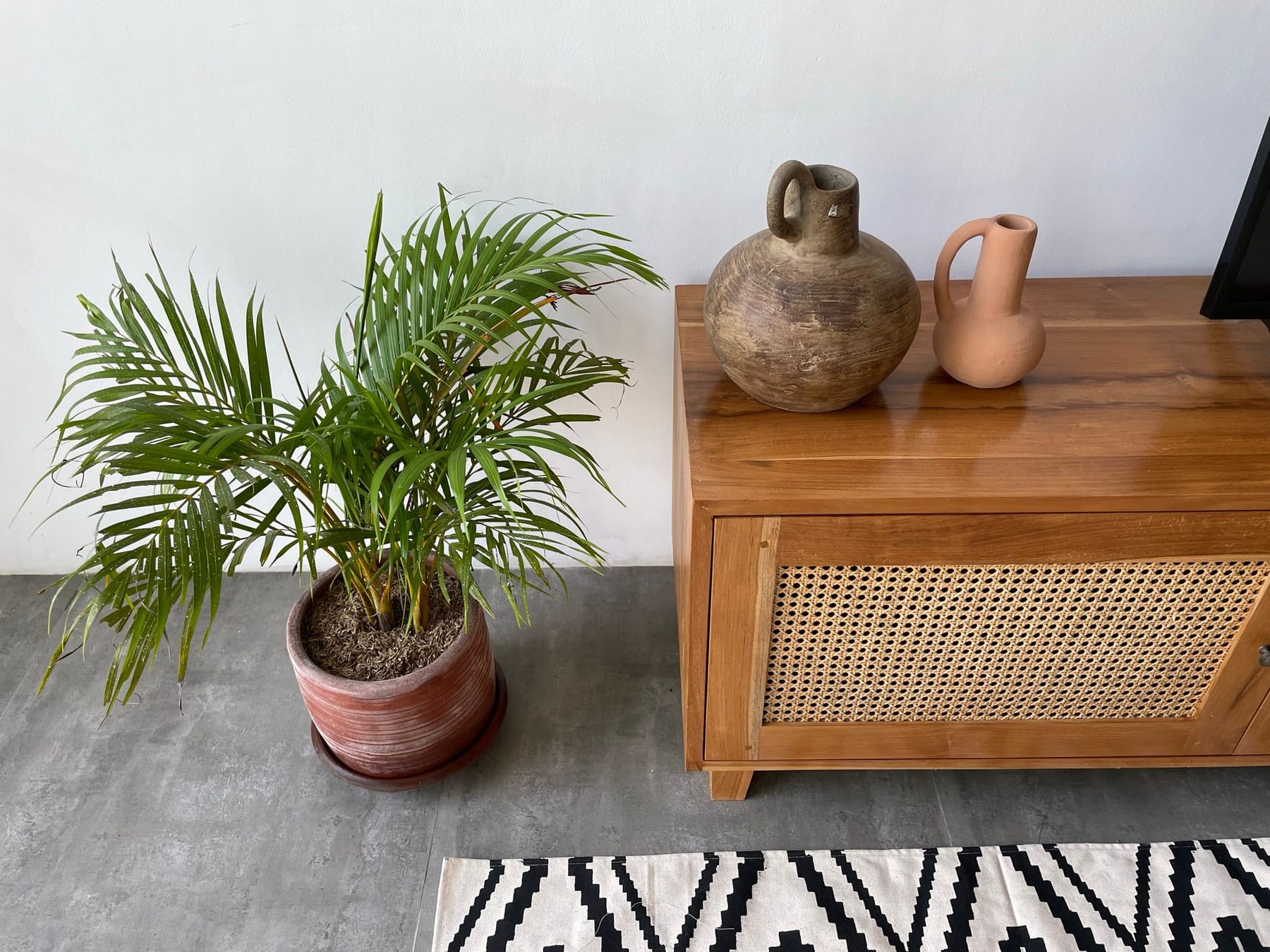 1 Bedroom Apartment in Pererenan