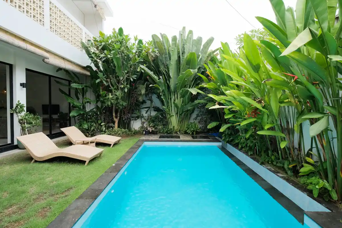 Garden pool lined with tropical greenery and white loungers