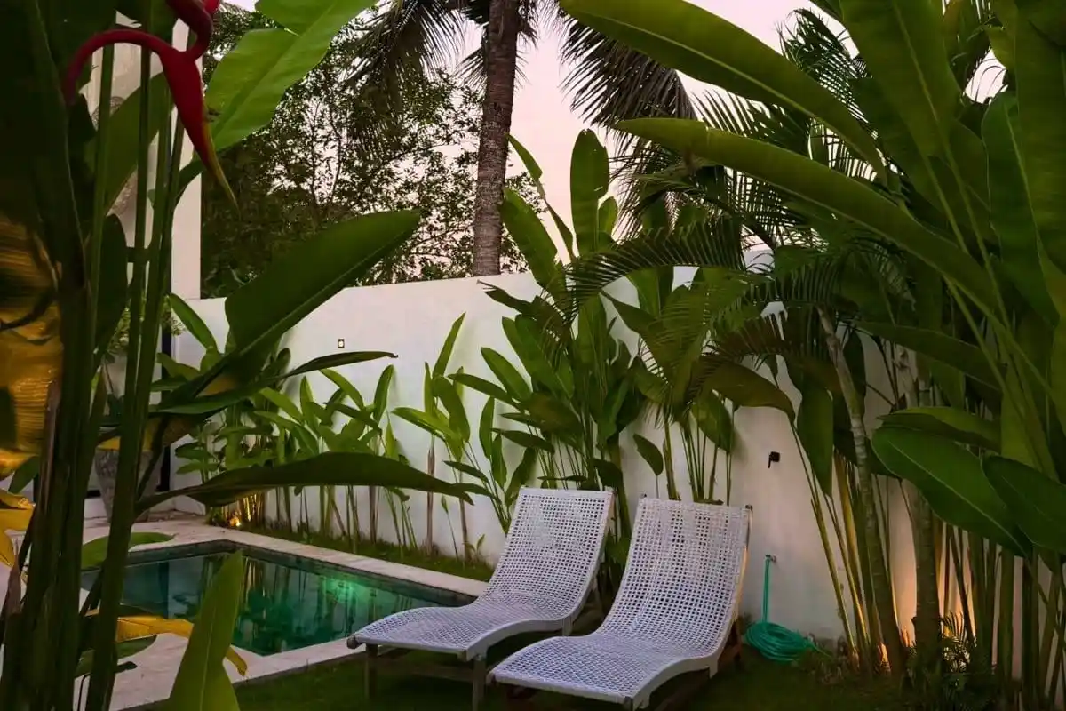 Poolside loungers surrounded by palms and tropical plants